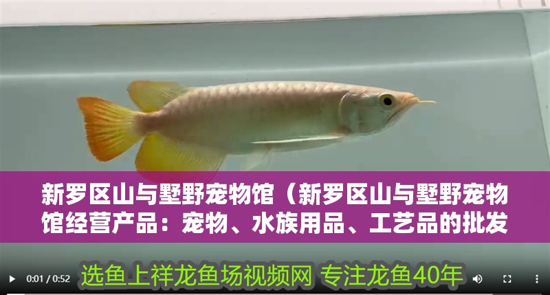 新羅區(qū)山與墅野寵物館（新羅區(qū)山與墅野寵物館經(jīng)營(yíng)產(chǎn)品：寵物、水族用品、工藝品的批發(fā)零售）