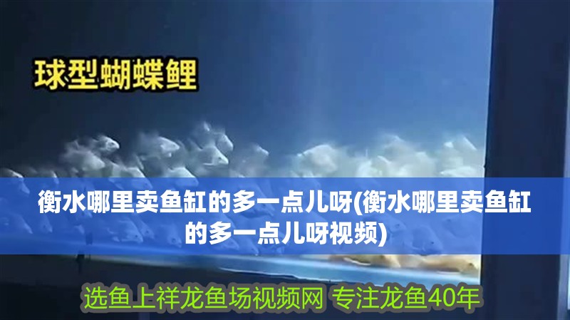 <strong><mark>衡水</mark></strong>哪里賣魚缸的多一點兒呀(<strong><mark>衡水</mark></strong>哪里賣魚缸的多一點兒呀視頻)