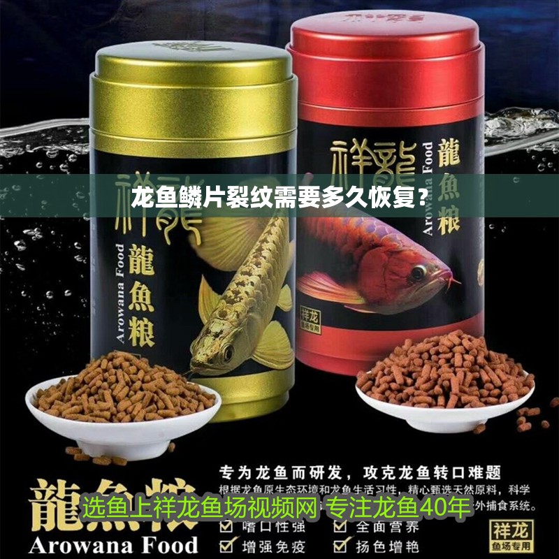 龍魚鱗片裂紋需要多久恢復(fù)？