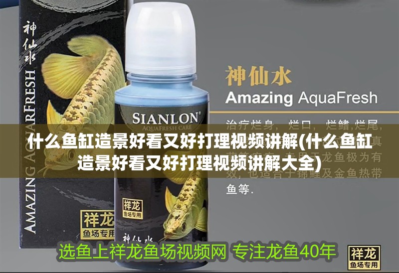 什么魚缸造景好看又好打理視頻講解(什么魚缸造景好看又好打理視頻講解大全)