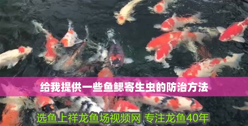 給我提供一些魚鰓寄生蟲的防治方法