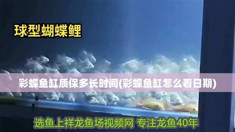 彩蝶魚缸質保多長時間(彩蝶魚缸怎么看日期)