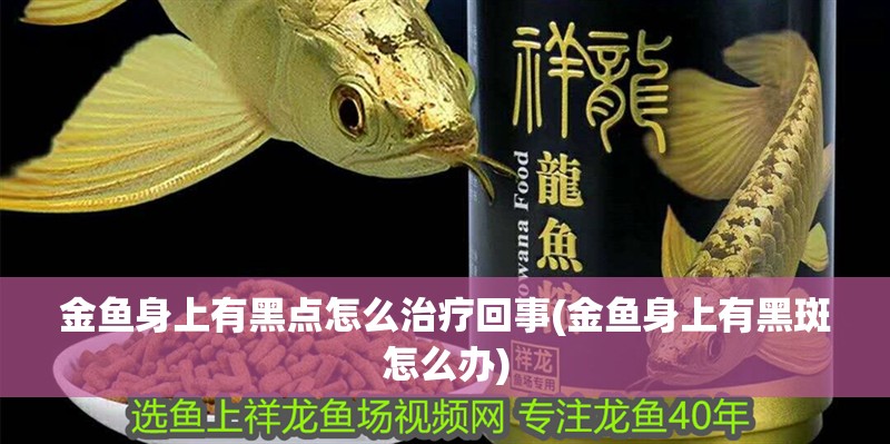 金魚身上有黑點怎么治療回事(金魚身上有黑斑怎么辦)