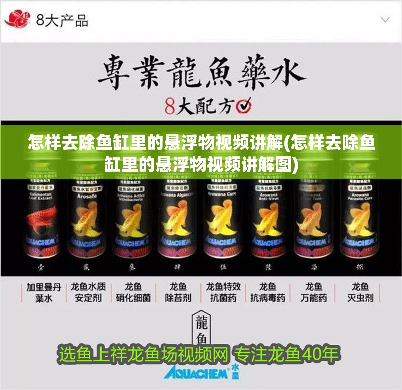 怎樣去除魚缸里的懸浮物視頻講解(怎樣去除魚缸里的懸浮物視頻講解圖)