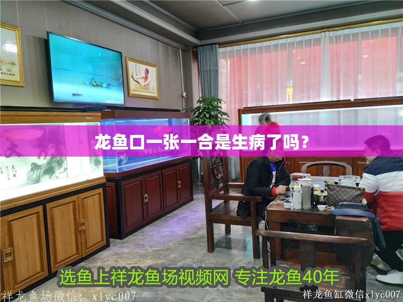 龍魚口一張一合是生病了嗎？