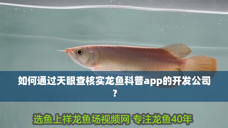 如何通過(guò)天眼查核實(shí)龍魚(yú)科普app的開(kāi)發(fā)公司？