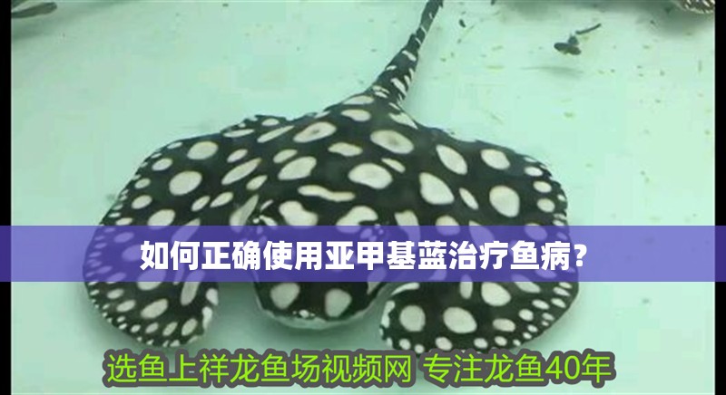 如何正確使用亞甲基藍治療魚??？