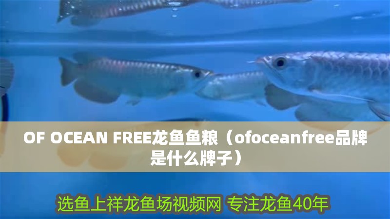 OF OCEAN FREE龍魚魚糧（ofoceanfree品牌是什么牌子）