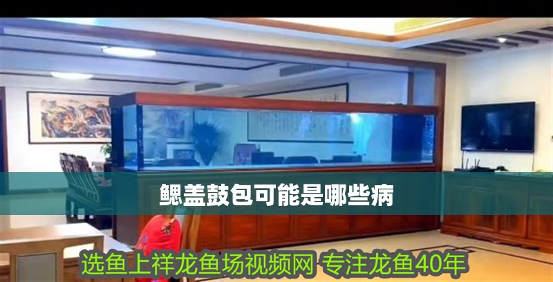 鰓蓋鼓包可能是哪些病