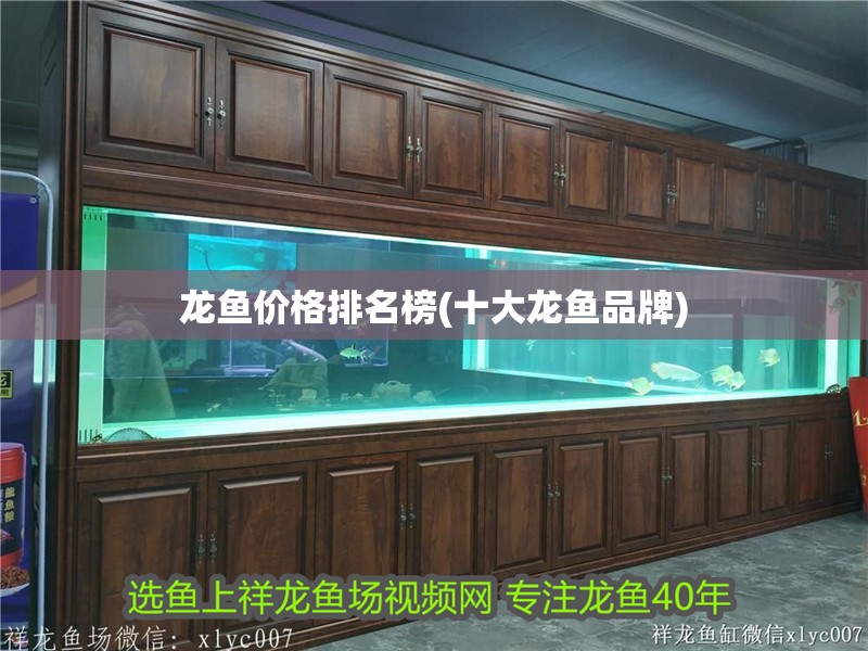 龍魚價格排名榜(十大龍魚品牌)