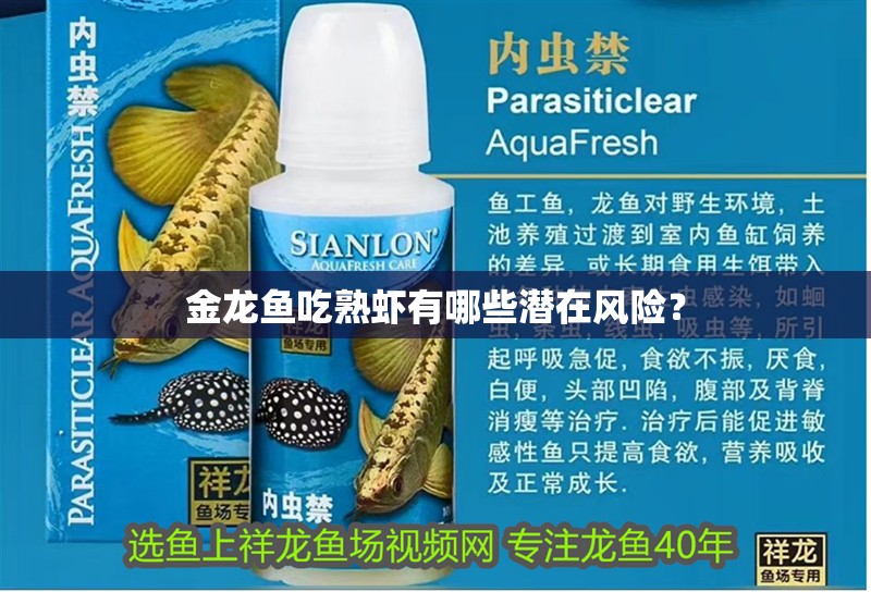 金龍魚吃熟蝦有哪些潛在風(fēng)險？