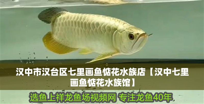 漢中市漢臺(tái)區(qū)七里畫魚惦花水族店【漢中七里畫魚惦花水族館】
