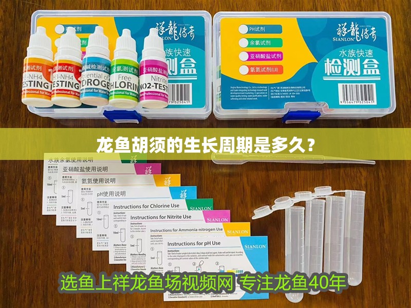 龍魚胡須的生長周期是多久？