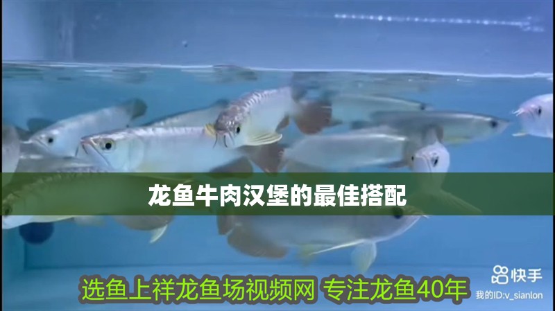 龍魚牛肉漢堡的最佳搭配