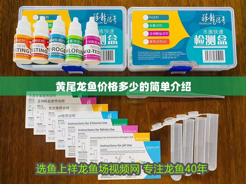 黃尾龍魚價格多少的簡單介紹