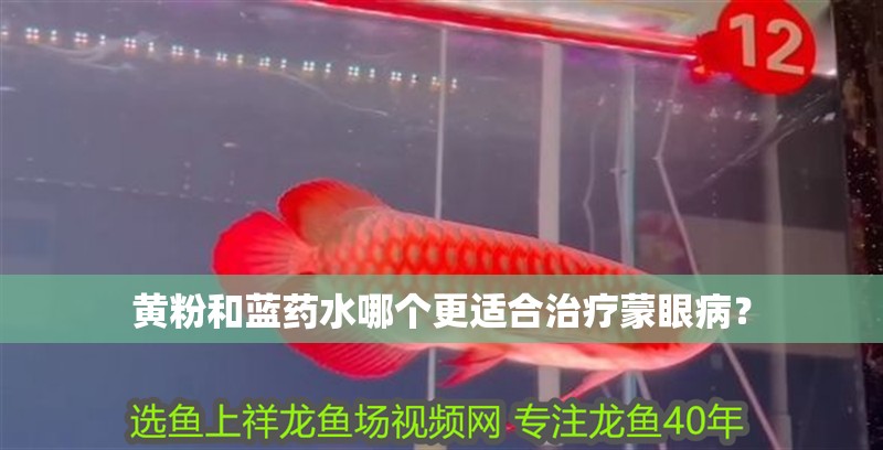黃粉和藍藥水哪個更適合治療蒙眼病？