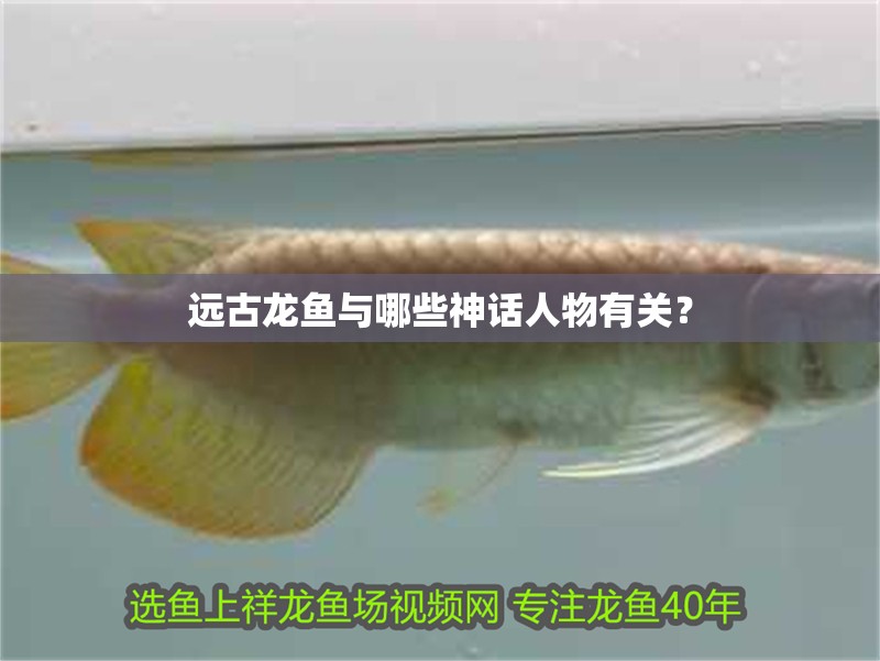 遠古龍魚與哪些神話人物有關？