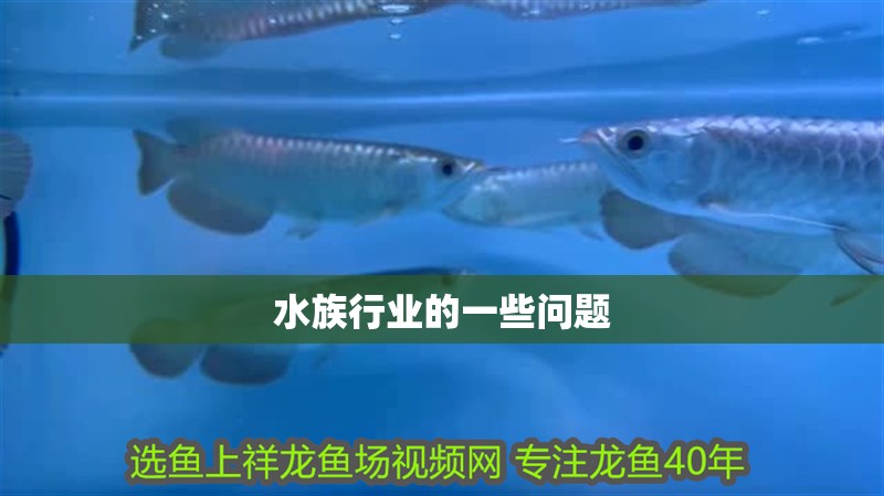 水族行業的一些問題