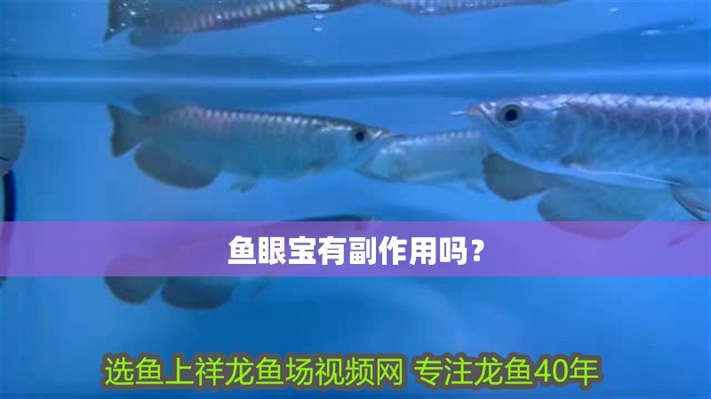 魚眼寶有副作用嗎？