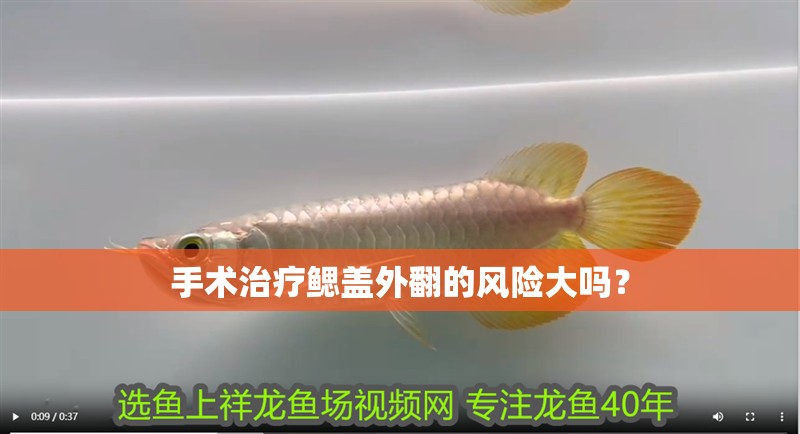 手術治療鰓蓋外翻的風險大嗎？