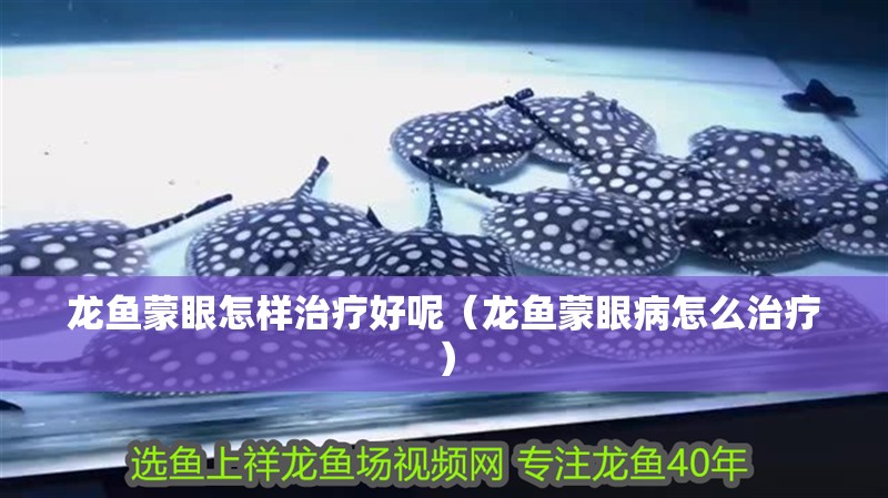 龍魚蒙眼怎樣治療好呢（龍魚蒙眼病怎么治療）
