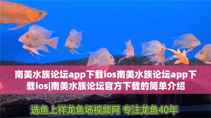 南美水族論壇app下載ios南美水族論壇app下載ios|南美水族論壇官方下載的簡單介紹