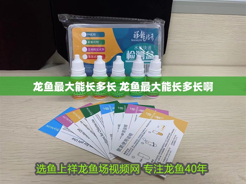 龍魚最大能長多長 龍魚最大能長多長啊