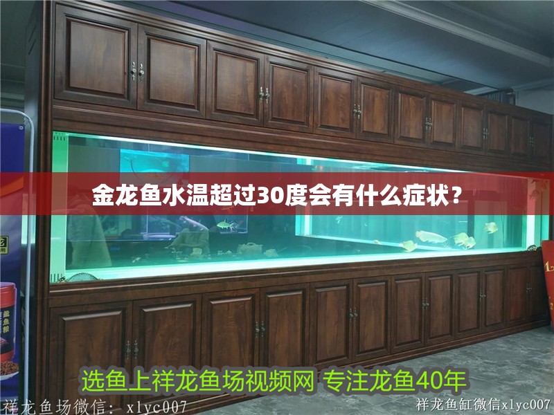 金龍魚水溫超過30度會有什么癥狀？