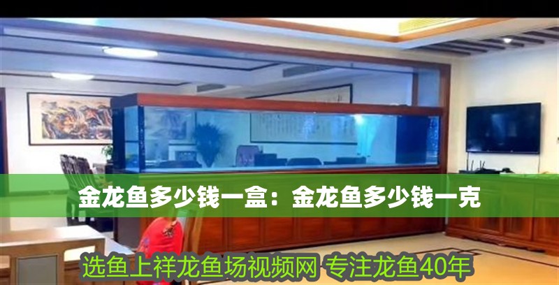 金龍魚多少錢一盒：金龍魚多少錢一克