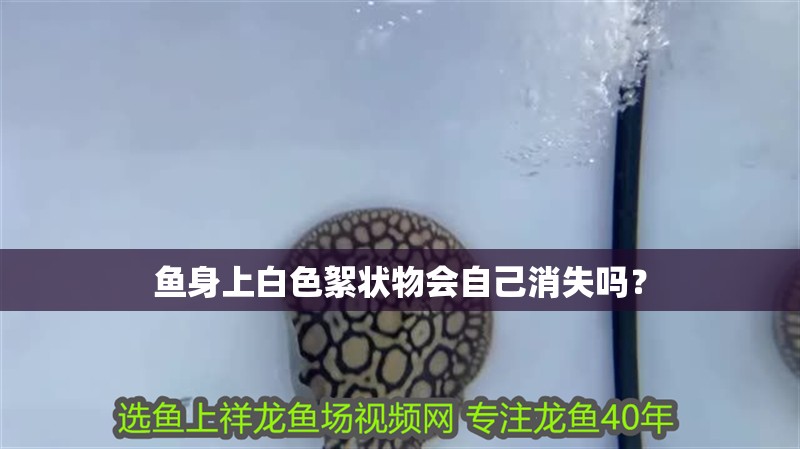 魚身上白色絮狀物會自己消失嗎？