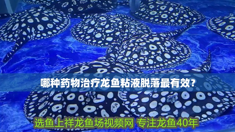 哪種藥物治療龍魚粘液脫落最有效？
