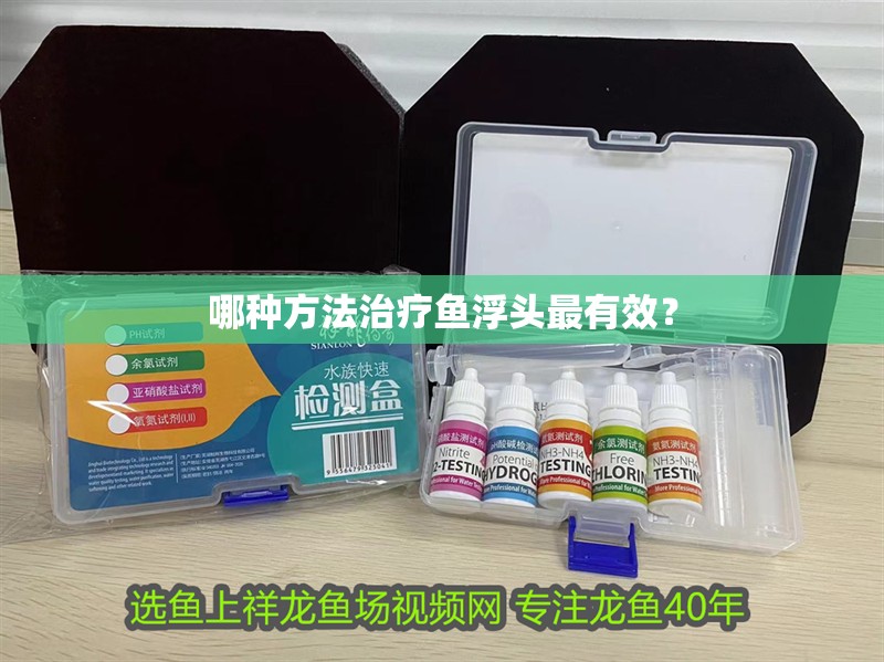 哪種方法治療魚浮頭最有效？