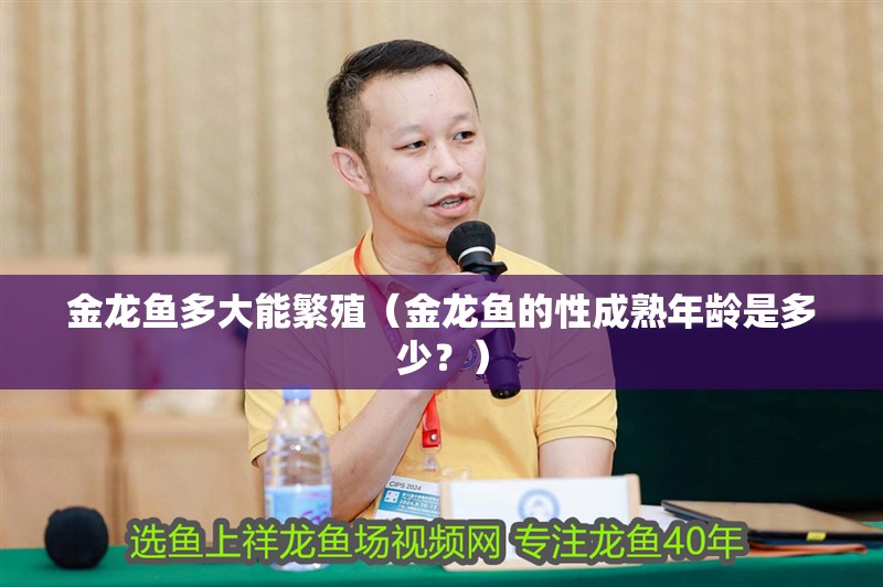 金龍魚多大能繁殖（金龍魚的性成熟年齡是多少？）