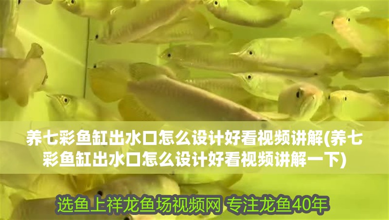 養(yǎng)七彩魚缸出水口怎么設(shè)計好看視頻講解(養(yǎng)七彩魚缸出水口怎么設(shè)計好看視頻講解一下)