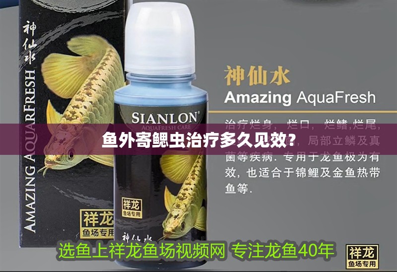 魚外寄鰓蟲治療多久見效？