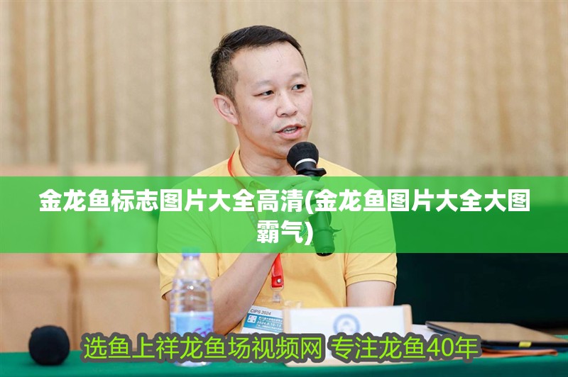 金龍魚標志圖片大全高清(金龍魚圖片大全大圖霸氣)