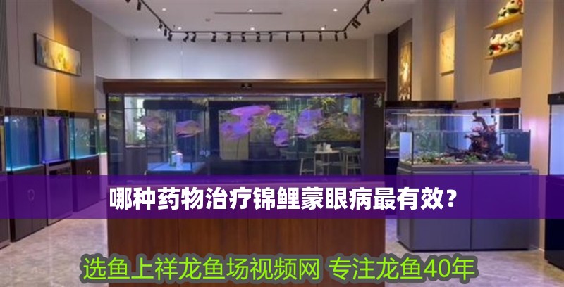 哪種藥物治療錦鯉蒙眼病最有效？