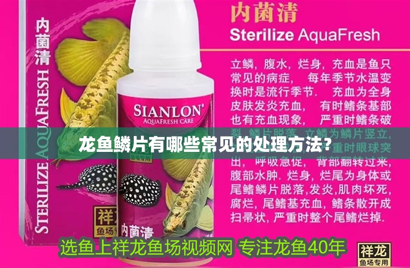 龍魚鱗片有哪些常見的處理方法？