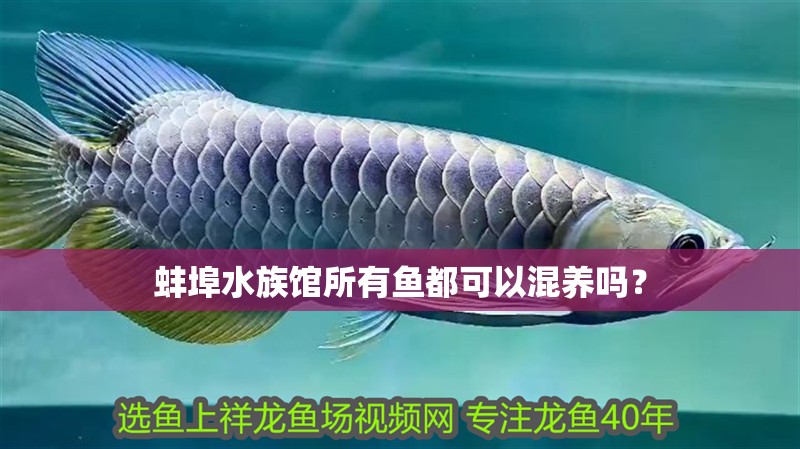 蚌埠水族館所有魚都可以混養嗎？