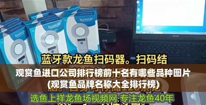 觀賞魚(yú)進(jìn)口公司排行榜前十名有哪些品種圖片(觀賞魚(yú)品牌名稱(chēng)大全排行榜)