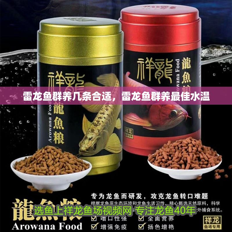 雷龍魚群養幾條合適，雷龍魚群養最佳水溫 雷龍魚群養幾條合適，雷龍魚群養最佳水溫 龍魚百科 第2張