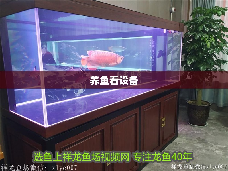 養(yǎng)魚看設(shè)備
