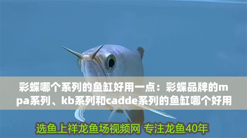 彩蝶哪個系列的魚缸好用一點：彩蝶品牌的mpa系列、kb系列和cadde系列的魚缸哪個好用