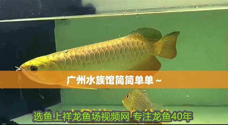 廣州水族館簡簡單單～