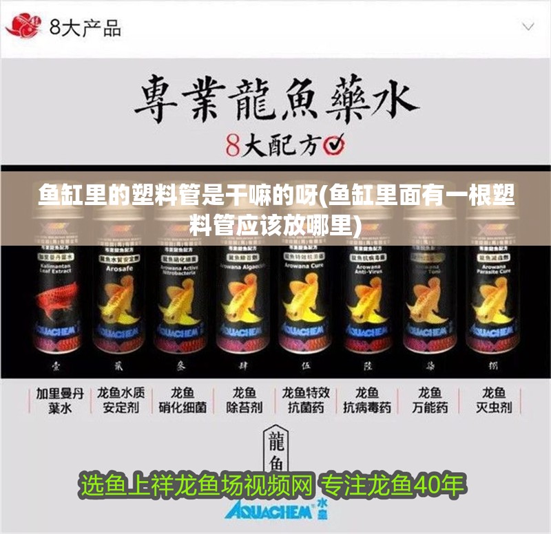 魚缸里的塑料管是干嘛的呀(魚缸里面有一根塑料管應該放哪里)