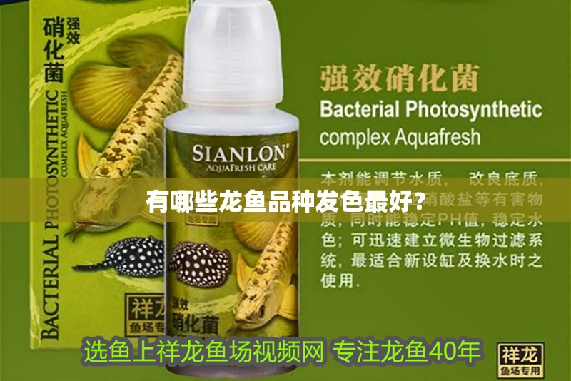 有哪些龍魚品種發色最好？