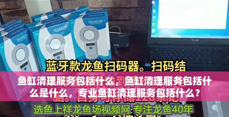 魚缸清理服務包括什么，魚缸清理服務包括什么是什么，專業魚缸清理服務包括什么？