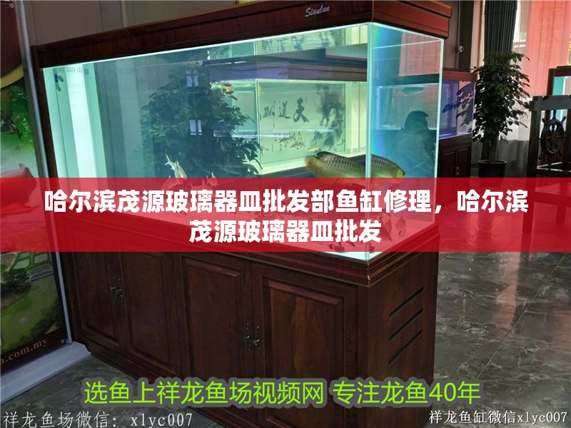 哈爾濱茂源玻璃器皿批發(fā)部魚缸修理，哈爾濱茂源玻璃器皿批發(fā)