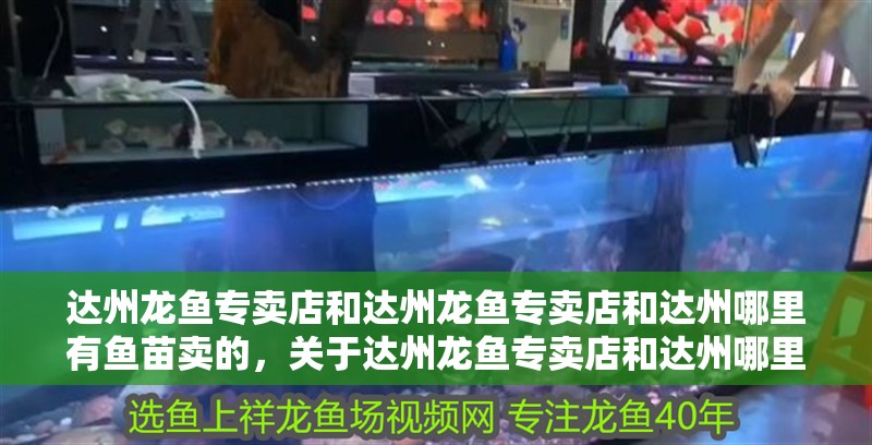 達州龍魚專賣店和達州龍魚專賣店和達州哪里有魚苗賣的，關于達州龍魚專賣店和達州哪里有魚苗賣的介紹