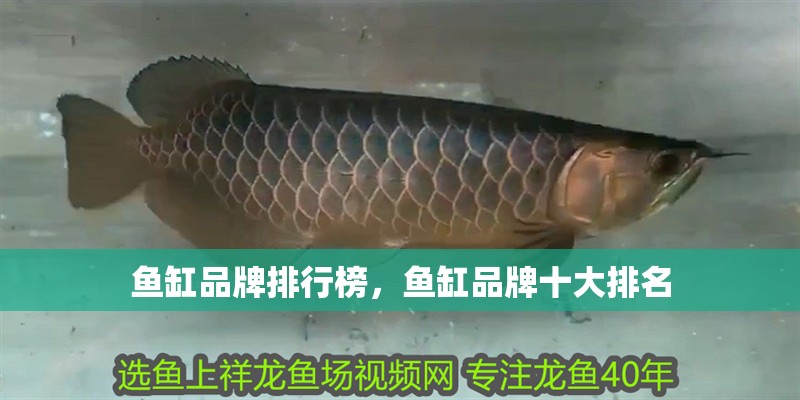 魚缸品牌排行榜，魚缸品牌十大排名